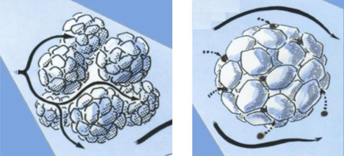 A collage of a cartoon of a cell
AI-generated content may be incorrect.